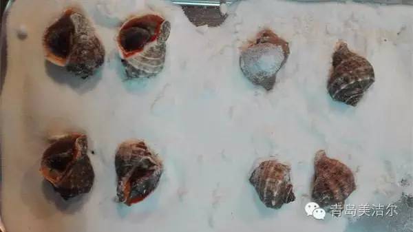 萬(wàn)能蒸烤箱9